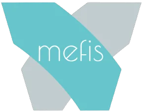 Logo Mefis